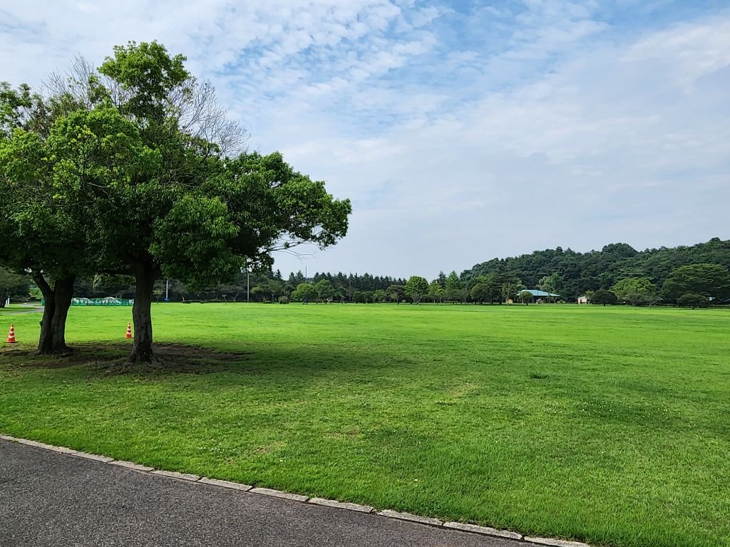 🌳 오야마 종합공원 이미지 7
